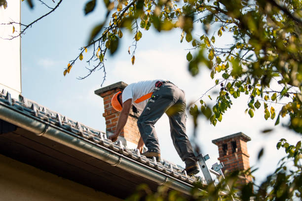 Best Metal Roofing Contractor  in St Clairsville, OH